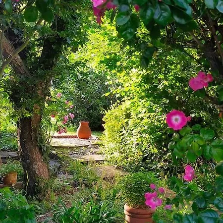 Holiday home Pilea, Maison A La Campagne Avec Grand Jardin Saint-Agnan-le-Malherbe